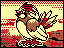 TCG1 B39 Pidgeotto.png