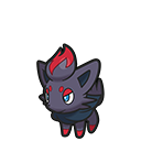 Zorua