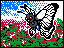 TCG2 B04 Butterfree.png