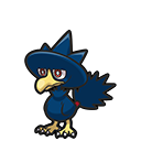 Murkrow