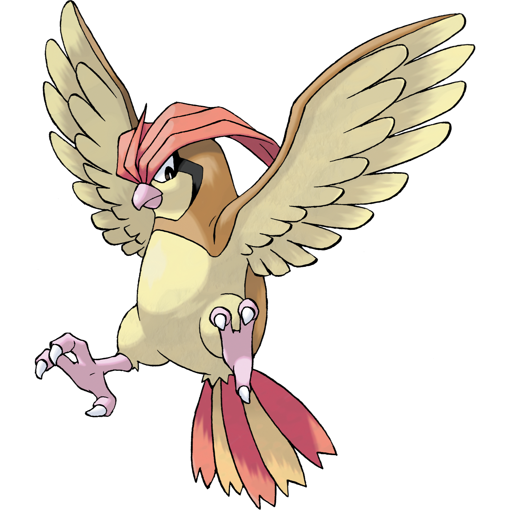 017Pidgeotto.png