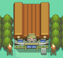 Johto Safari Zone HGSS.png