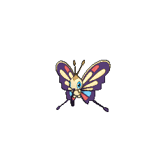 Shiny Male