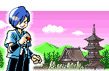 Puzzle Challenge Falkner.png