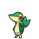 Snivy