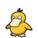 Psyduck