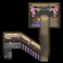 Virbank Gym Entrance B2W2.png