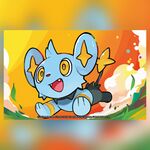 Shinx