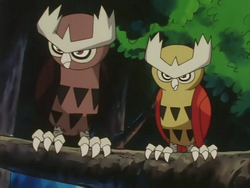 Ash Noctowl size.png