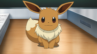 Chloe Eevee.png