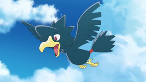 Murkrow anime.png