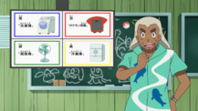 Poké Problem question SM003.png