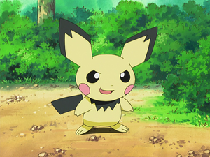 Sho Pichu.png