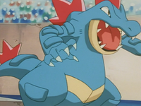 Whirl Cup winner's Feraligatr