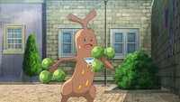 Callahan's Sudowoodo