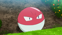 Laxton's Voltorb