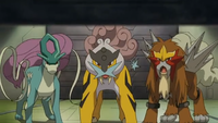 Kodai's Suicune, Raikou, and Entei (projections)