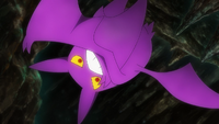 Team Rocket's Crobat