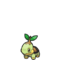 Turtwig