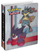 XY4 Collector Album.jpg