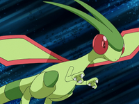 Drew's Flygon