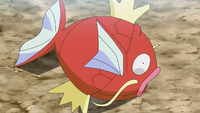 Goh's giant Magikarp