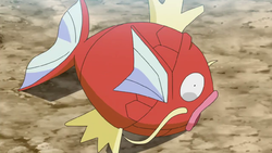 Goh giant Magikarp.png