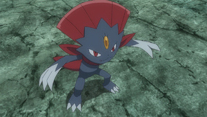 Kagetomo Weavile.png