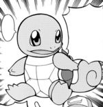 Oak Squirtle ICYR.png