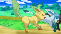 Virgil's Leafeon