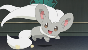 Crave Cinccino.png