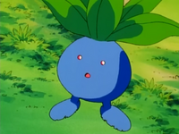 Melanie's Oddish