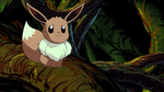 Eevee PK04.png