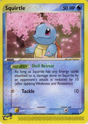 SquirtleEXTeamMagmavsTeamAqua46.jpg