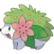 0492Shaymin.png