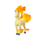 Rapidash