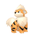 Growlithe