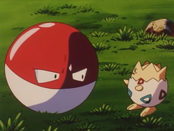 Hamlin Island Voltorb.png