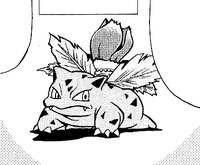 Kenta's Ivysaur