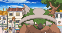 Maury's Torterra