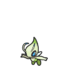 Celebi