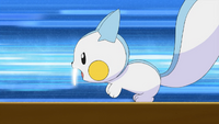 Dawn Pachirisu Super Fang.png