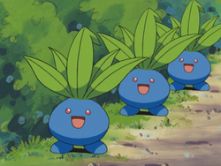 Eliza other Oddish.png