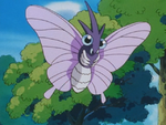 Murcott Island Venomoth.png