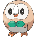 Rowlet of the Alola region