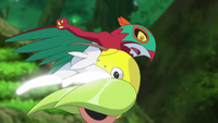 Ash Hawlucha High Jump Kick.png