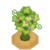 BlukTreeBuddingVI XY.png