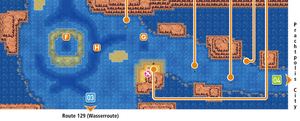 Hoenn Route 128 ORAS.png