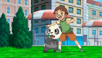 Myron's Pancham