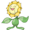 Sunflora